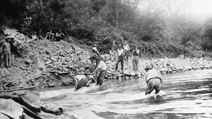 gold miners in river