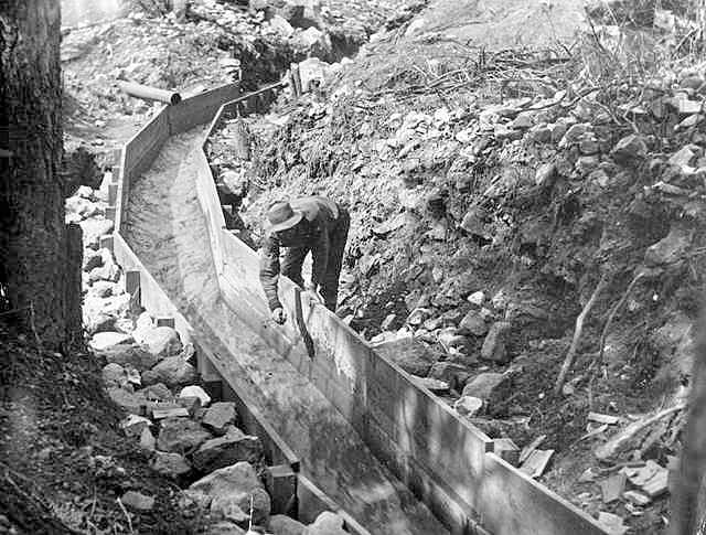 gold prospector california