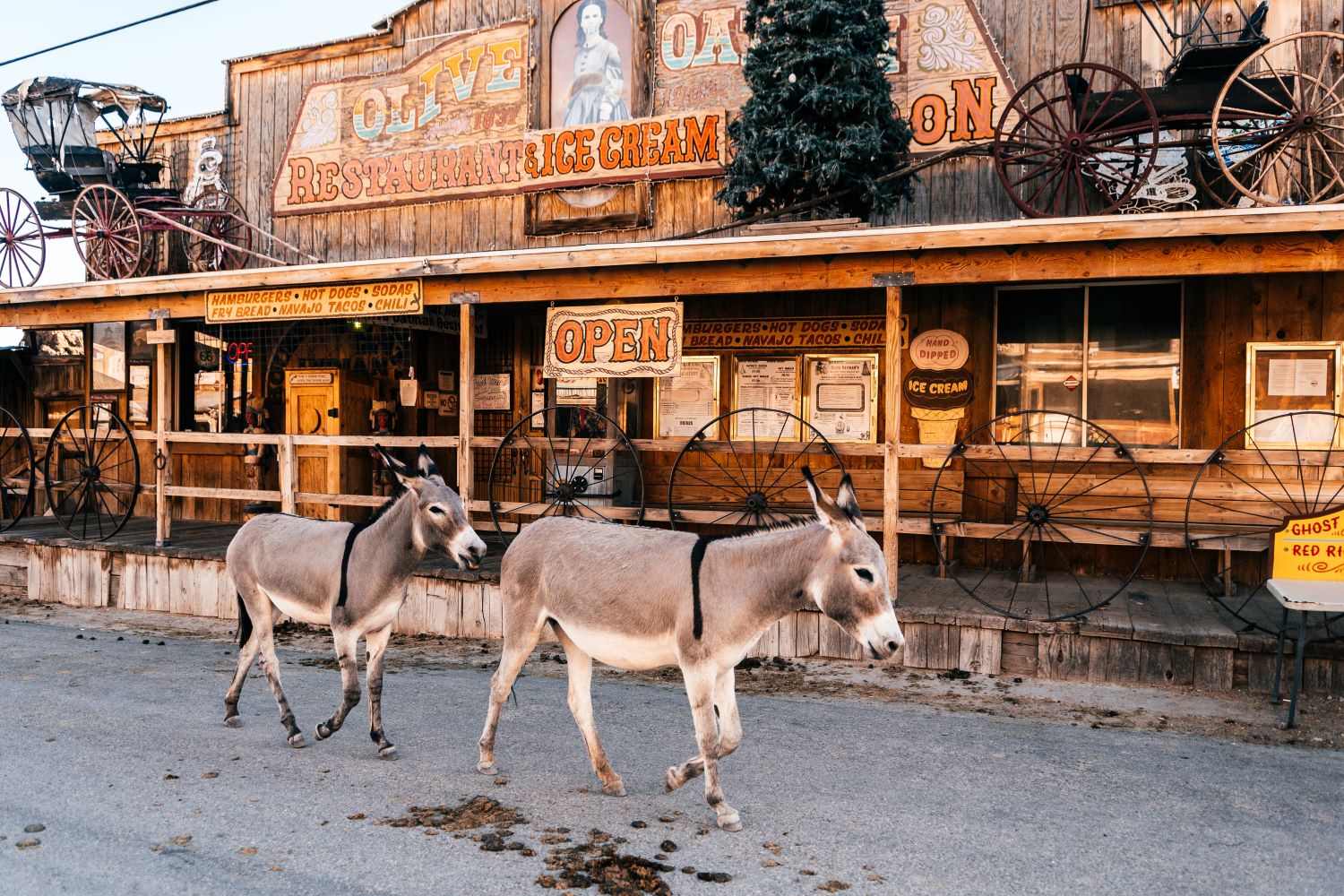 Oatman, Arizona