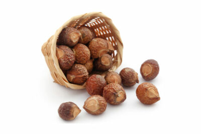 Soapnuts Earthyard