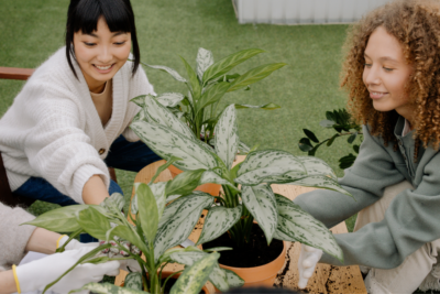 Gardening Together And Spreading Joy