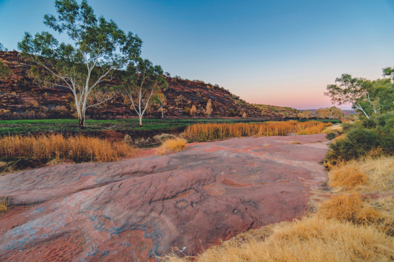 Finke Gorge National Park